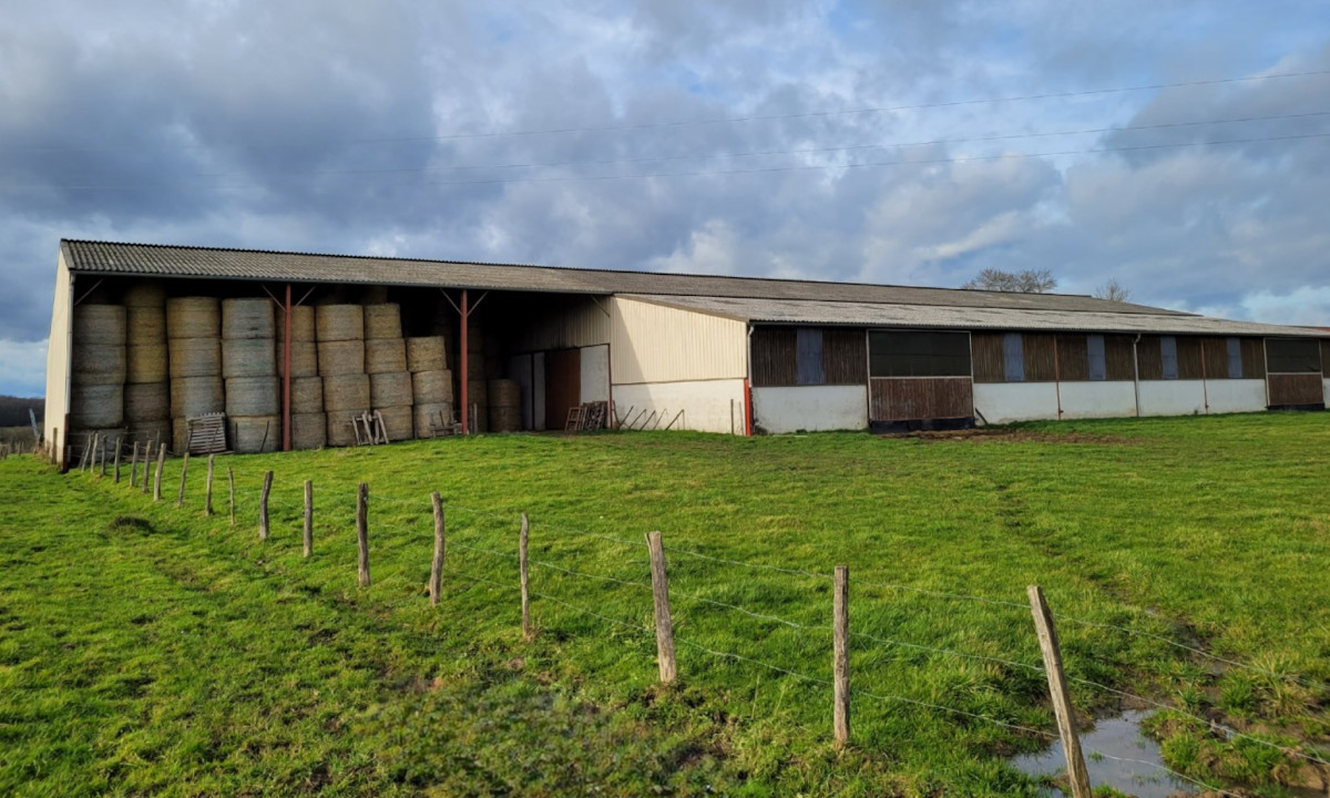 
                    Une exploitation en élevage bovin viande, volailles et céréales est à reprendre 
                